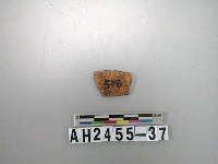 藏品(紅色細繩紋陶片)的圖片